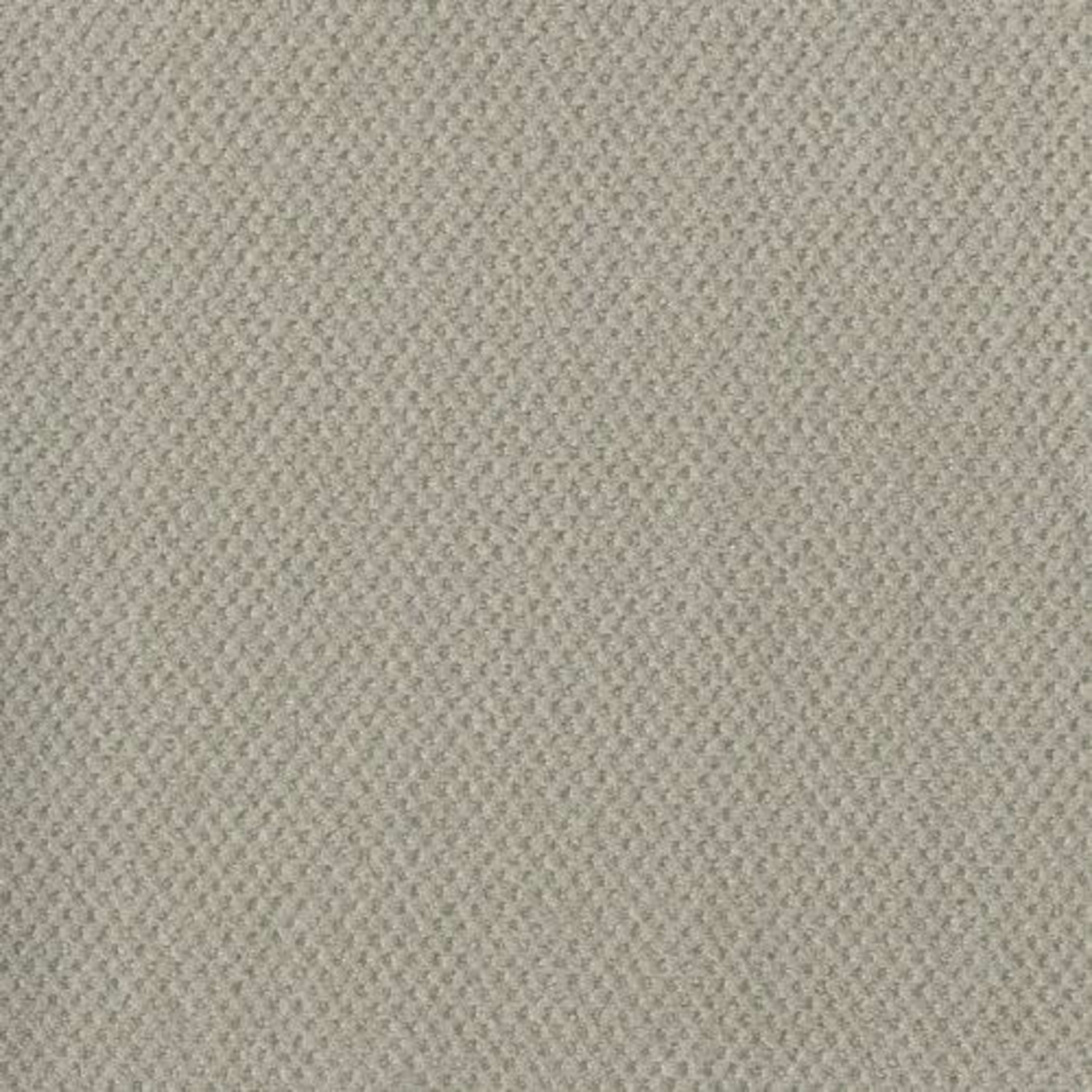 MOON BAY in Snow Cap Carpet