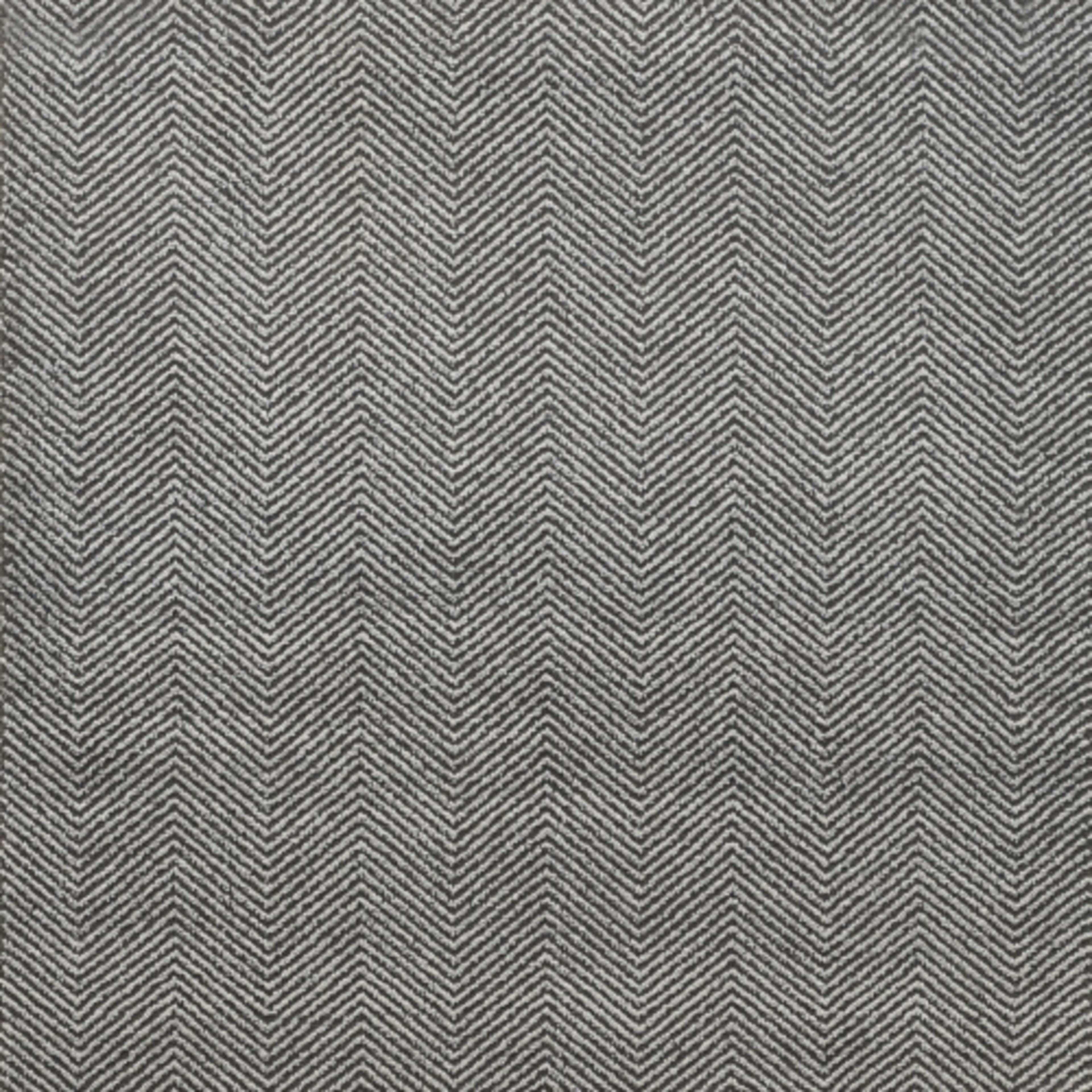 Softly Stated in Shimmering Carpet