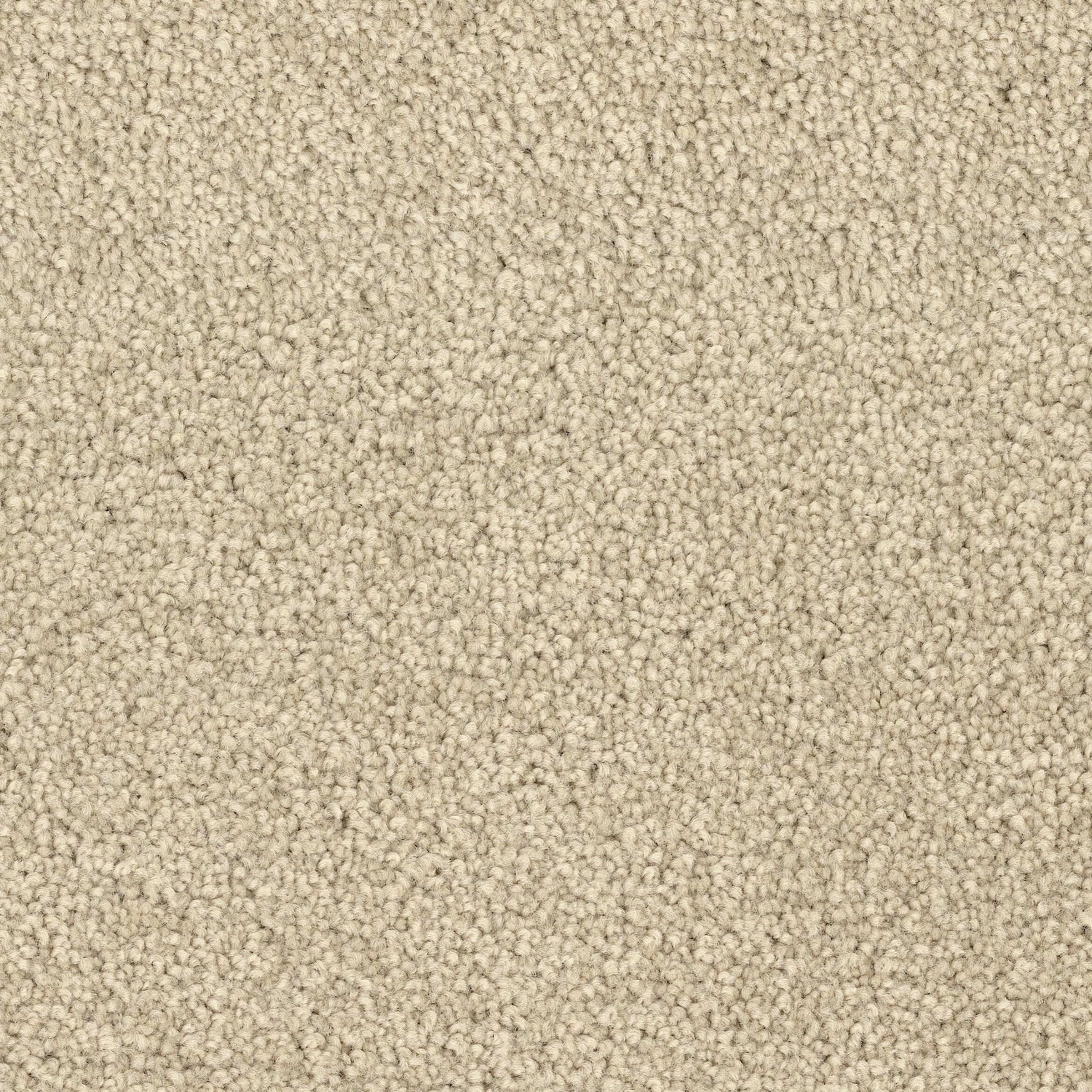 Spring Break in Basket Carpet