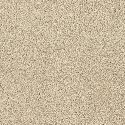 Spring Break in Basket Carpet
