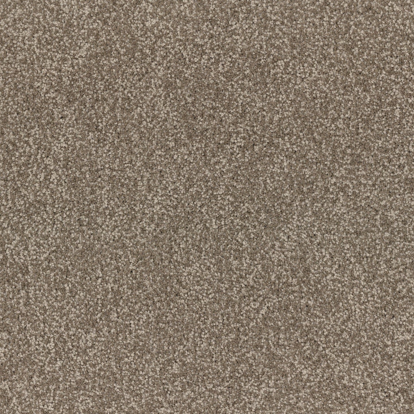 Spring Fling