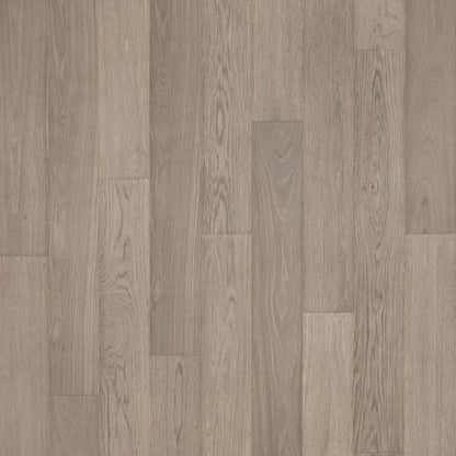 Adler Creek in Stone's Throw Oak