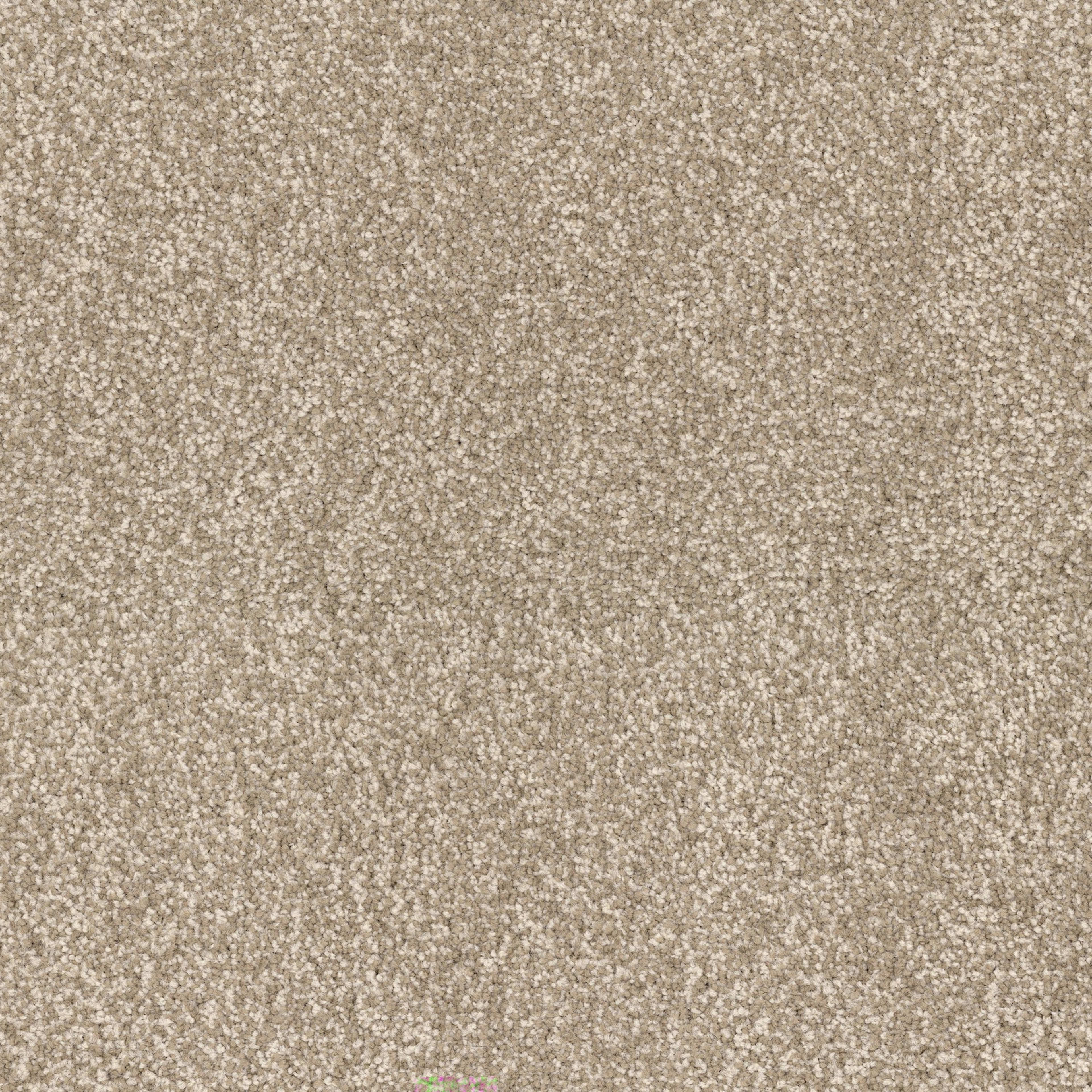 Summer Escape in Bungalow Carpet