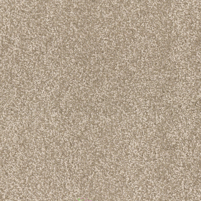 Summer Escape in Bungalow Carpet