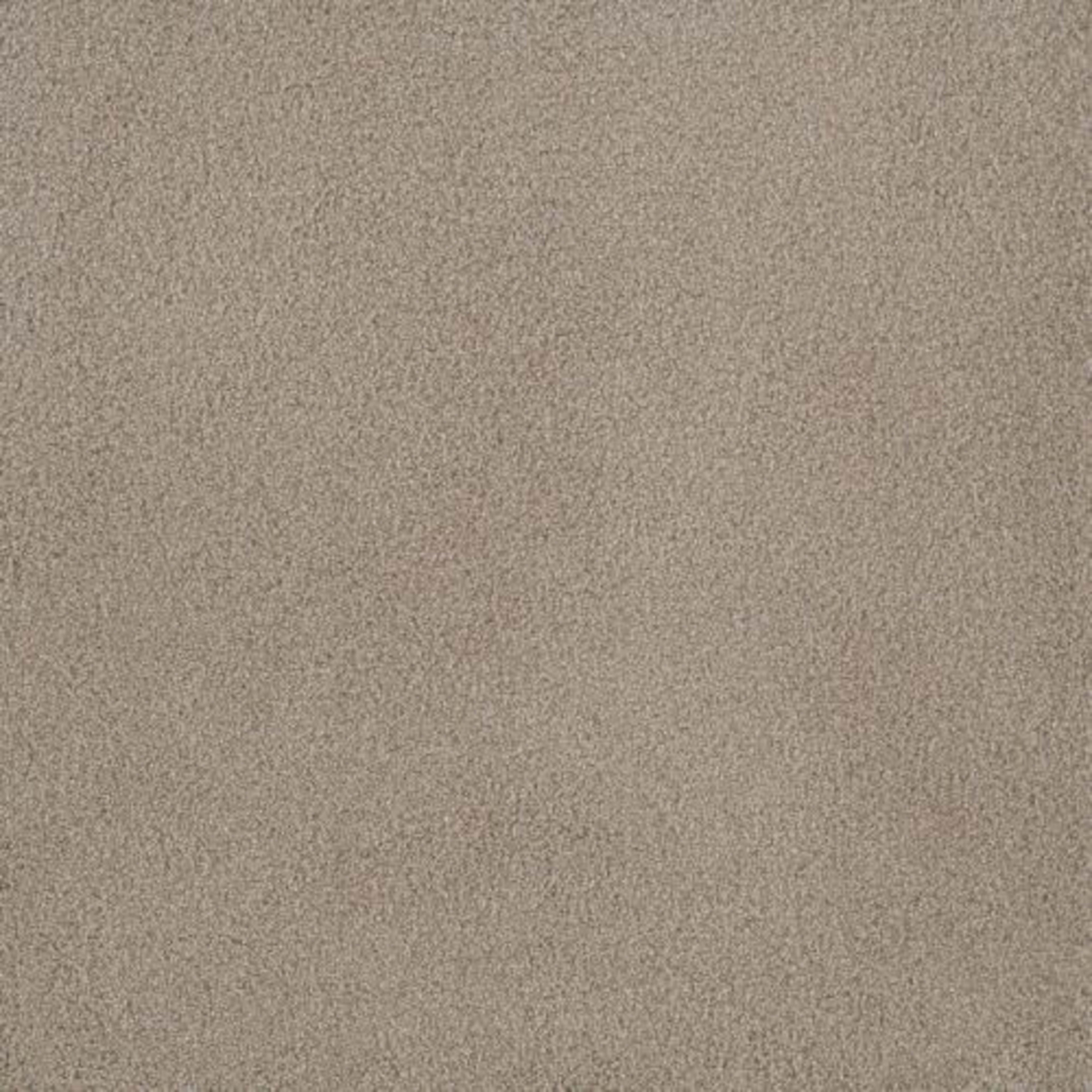 PALMETTO III in Sun Washed Carpet