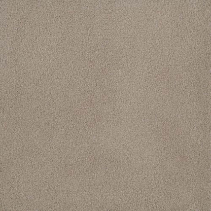 PALMETTO III in Sun Washed Carpet