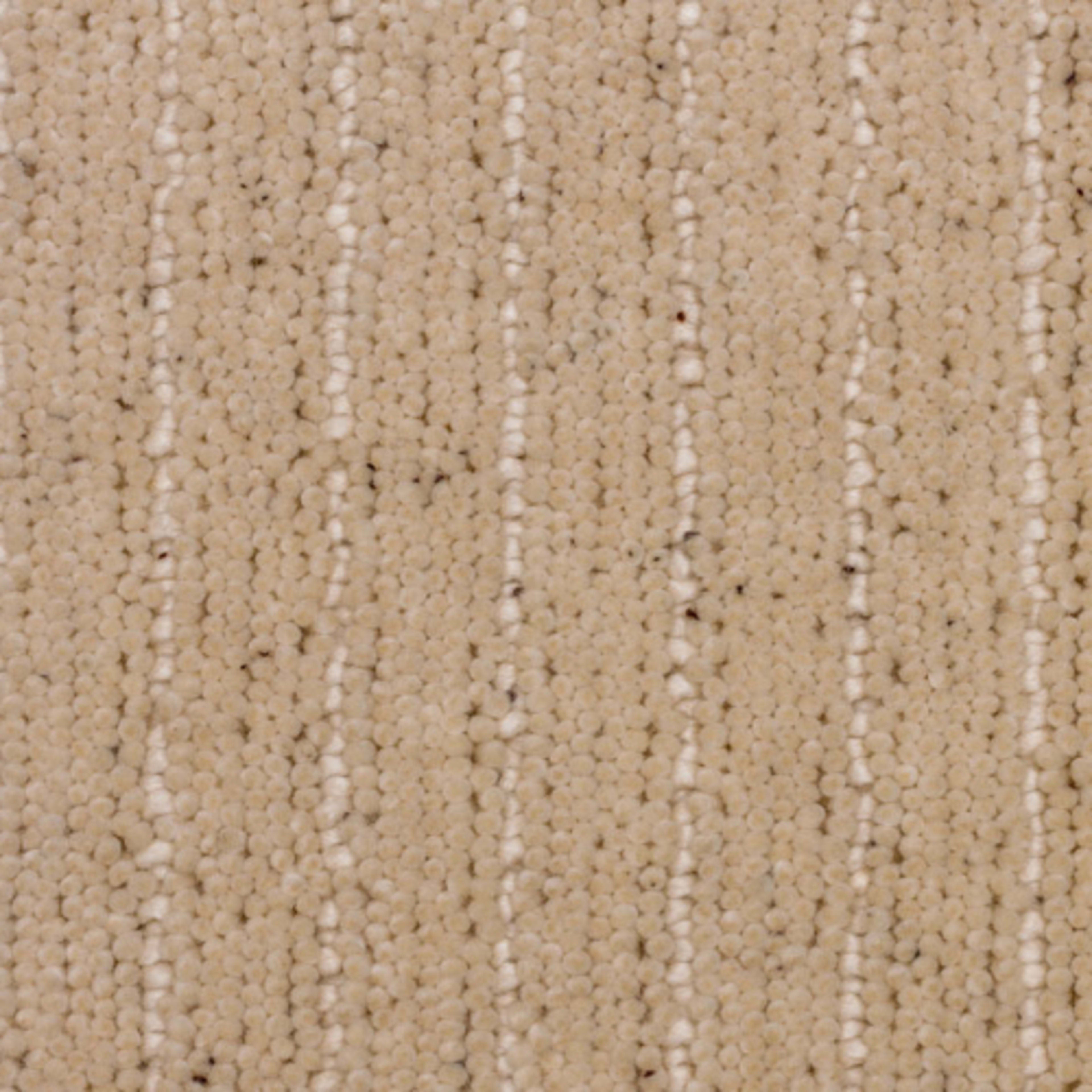 Pathway in Fleece Carpet