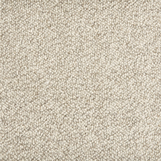 Trailblazer in Carbon Carpet