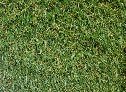Torino 3436 Grass
