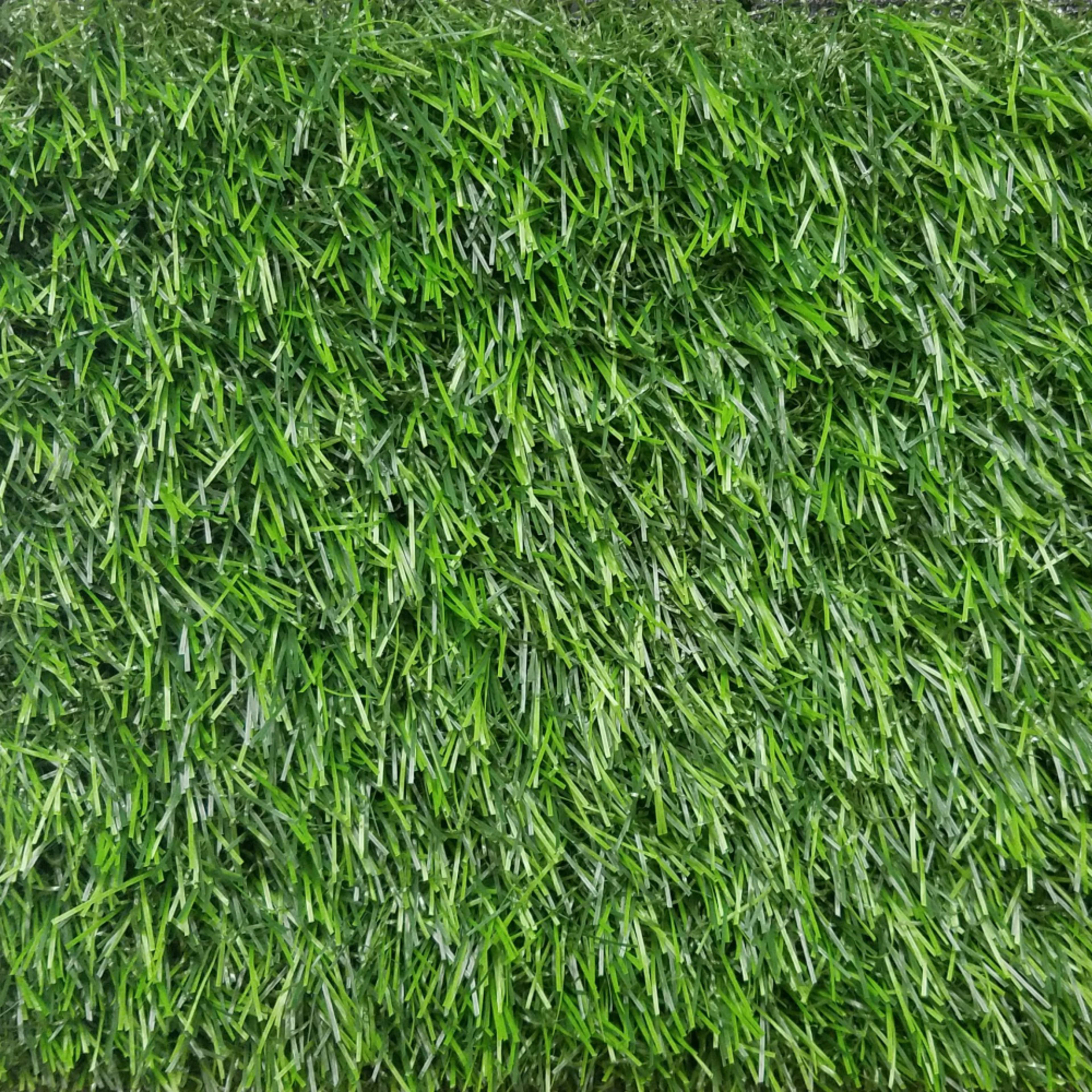 Torino 3436 Grass in 231 Carpet