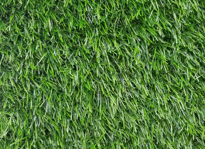 Torino 3436 Grass