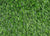 Torino 3436 Grass