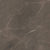 Tile with CGT Collection
