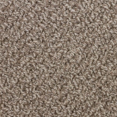 Collins in Mountain Trail Carpet