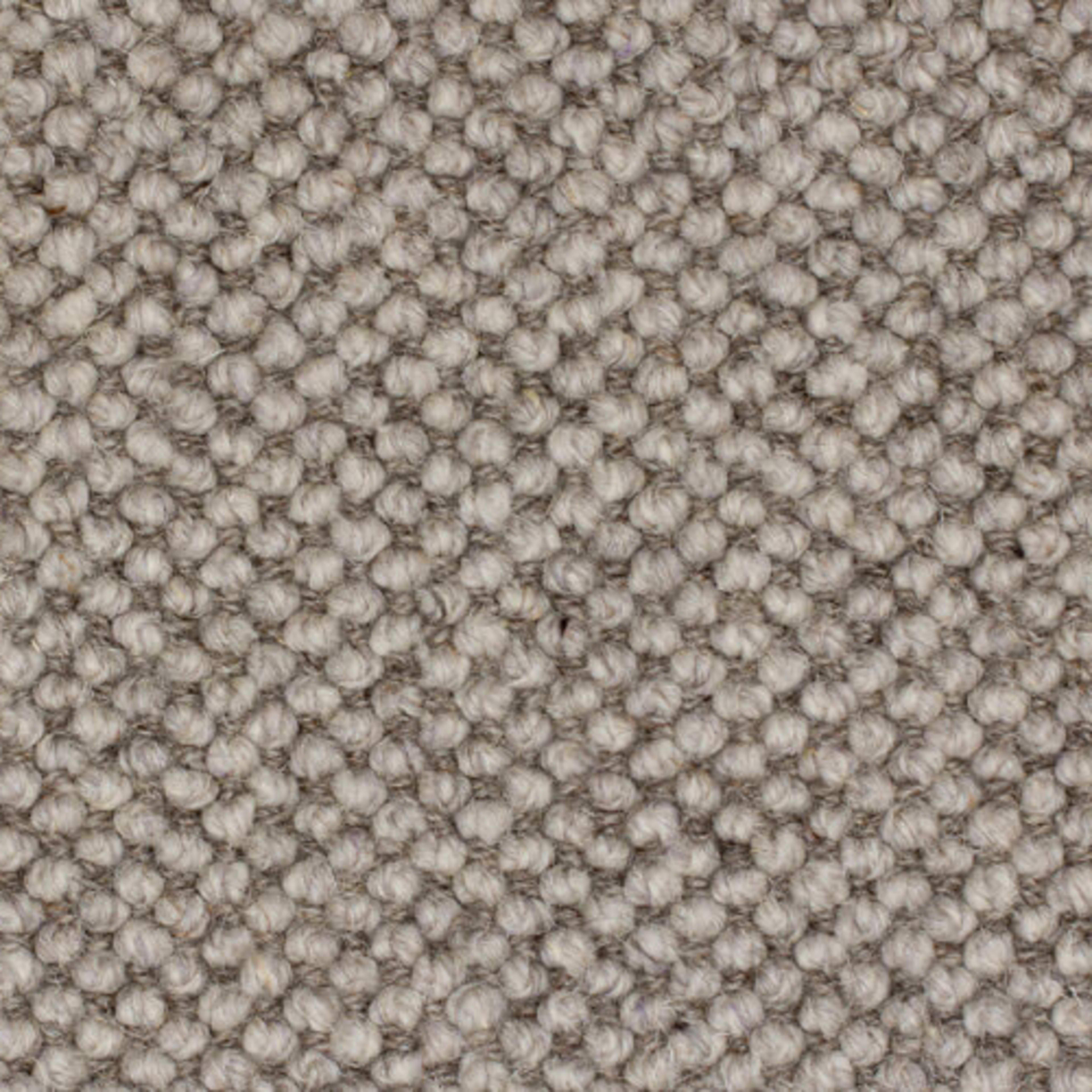 Laredo in Dapple Gray Carpet