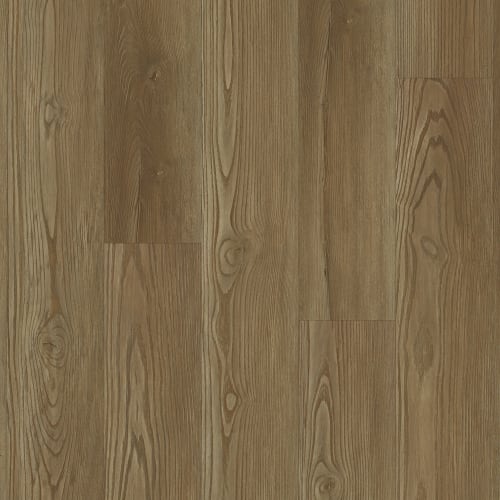 Alpha Collection