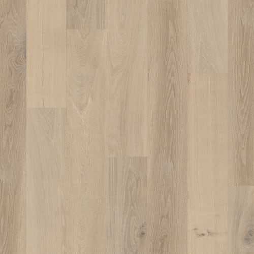 Terra in Taiga Hardwood
