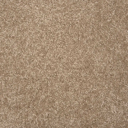 Throne in Khaki Carpet