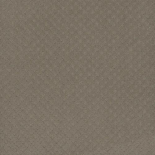 CASPIAN in Timber Ridge Carpet