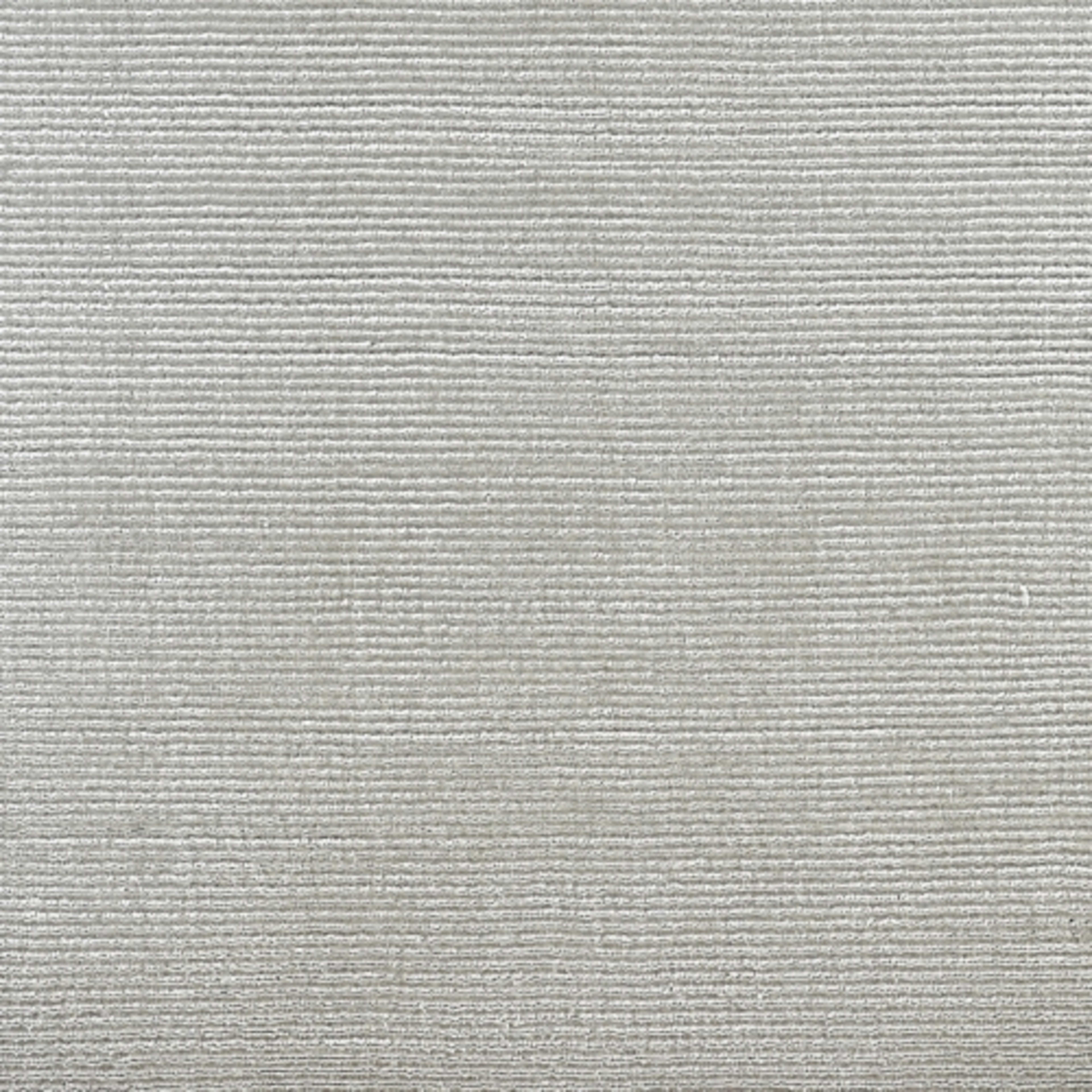 Timeless in Elite Carpet