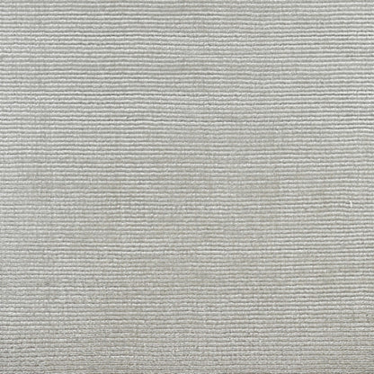 Timeless in Elite Carpet