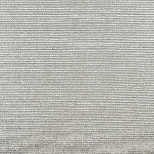 Timeless in Elite Carpet