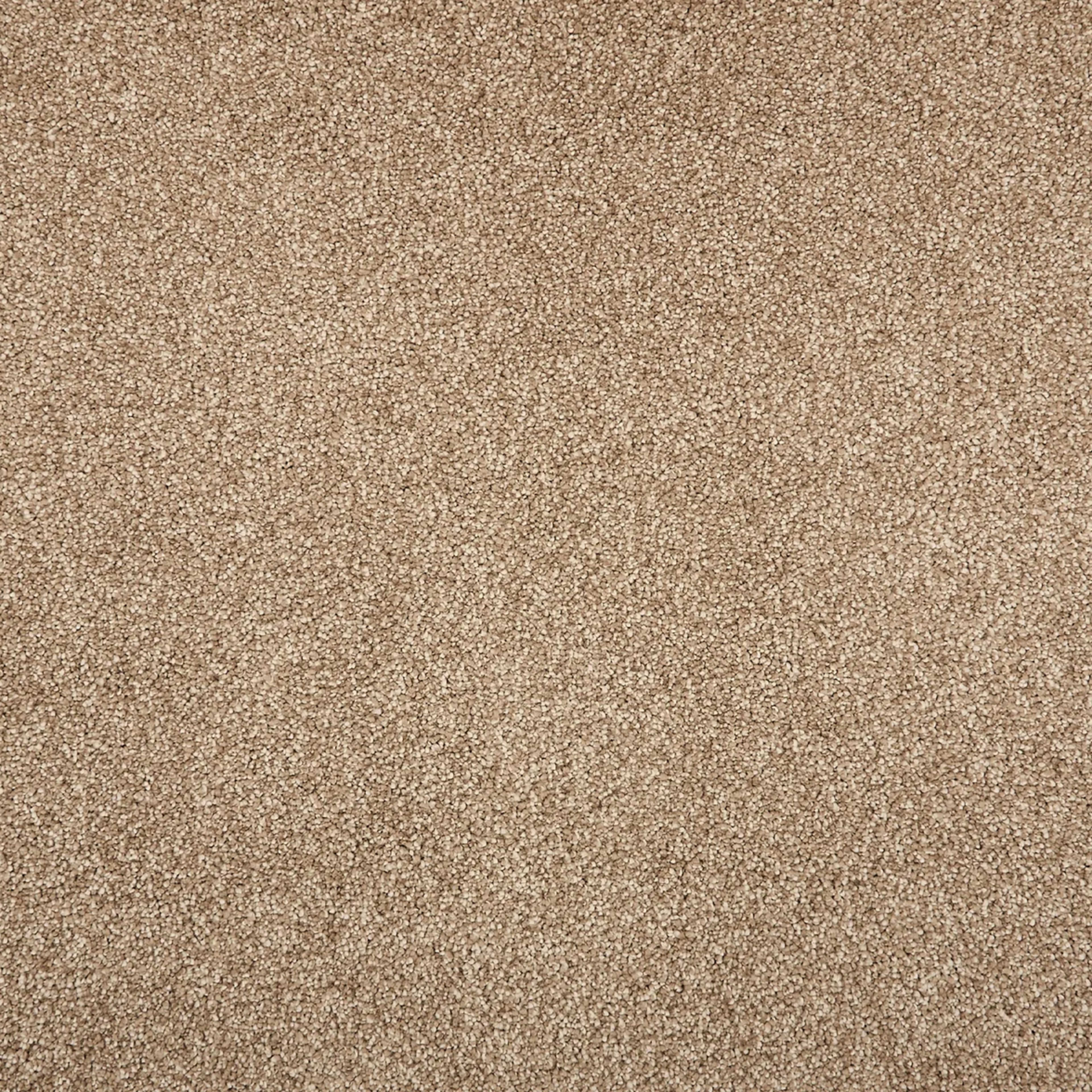 Tristan Plush II in Cedar Carpet