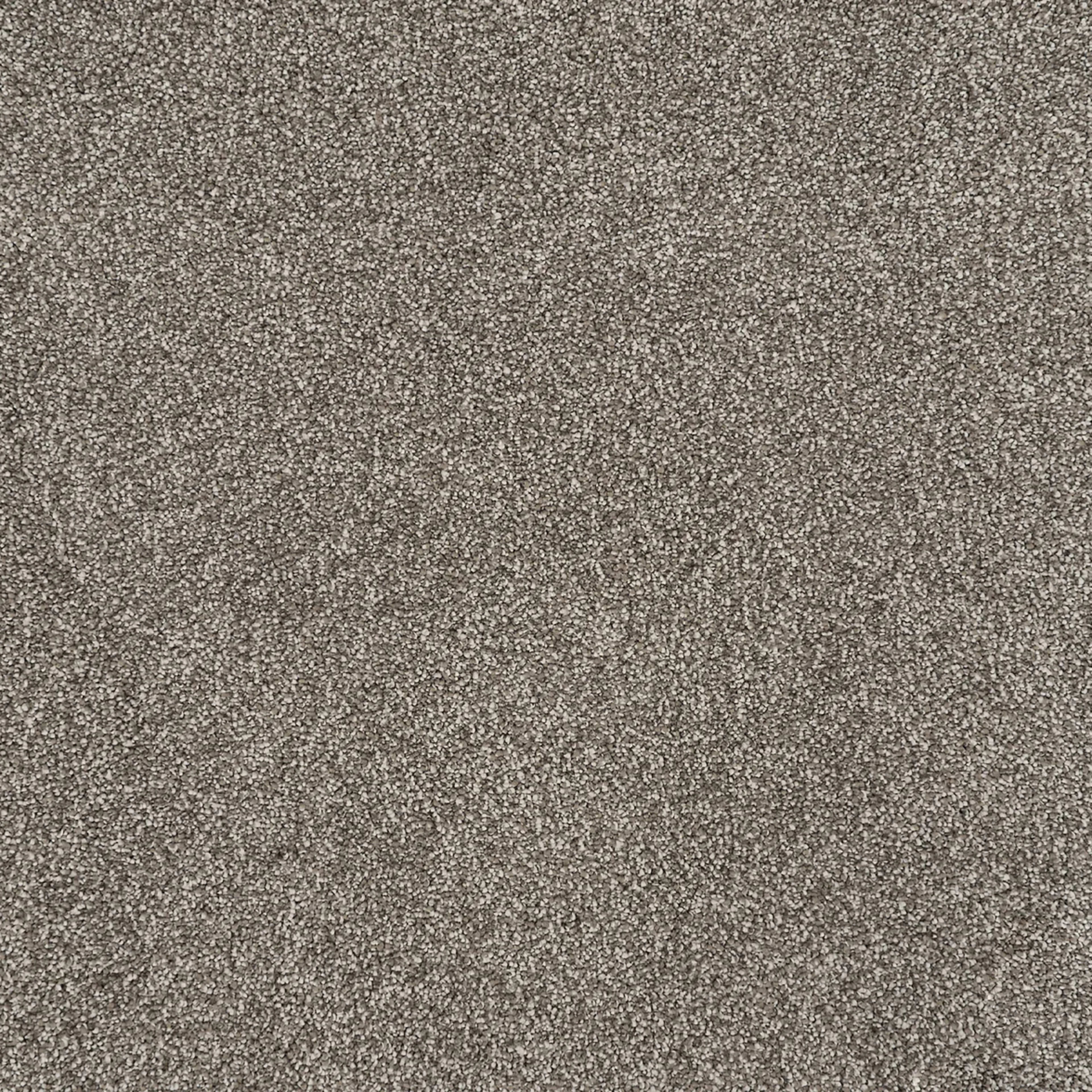 Tristan Plush I in Fossil Carpet