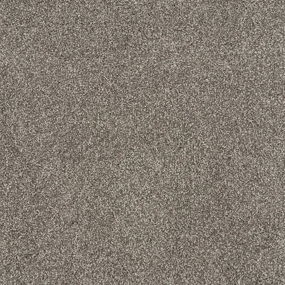 Tristan Plush I in Fossil Carpet