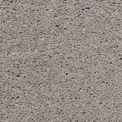 Composed Balance in Truffle Carpet