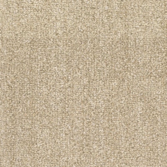 Tundra in Bighorn Carpet