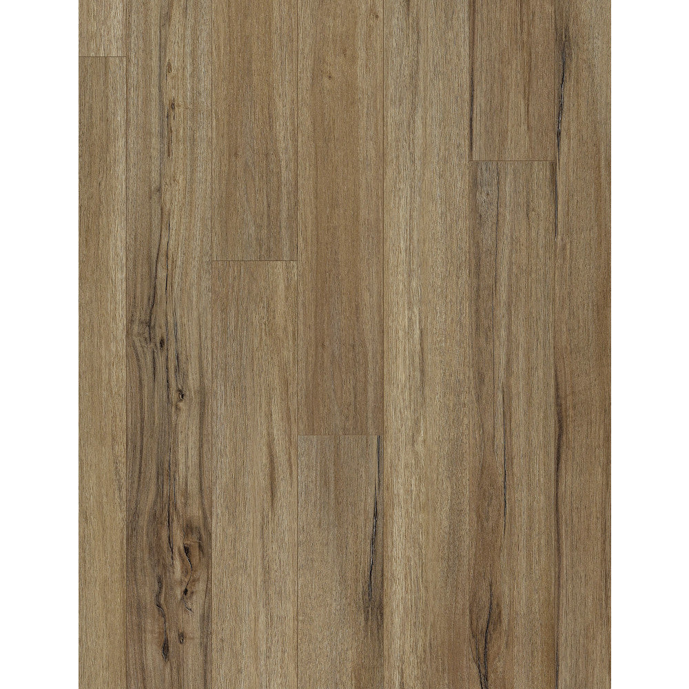 Coretec Originals Classics VV023