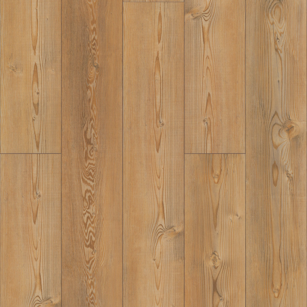 Shaw Industries in Coretec Pro Enhanced VV491 Luxury Vinyl