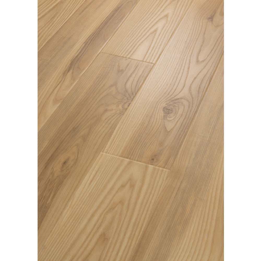 Paragon HD Plus Natural Bevel