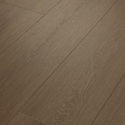 Dwell in Natural Umber