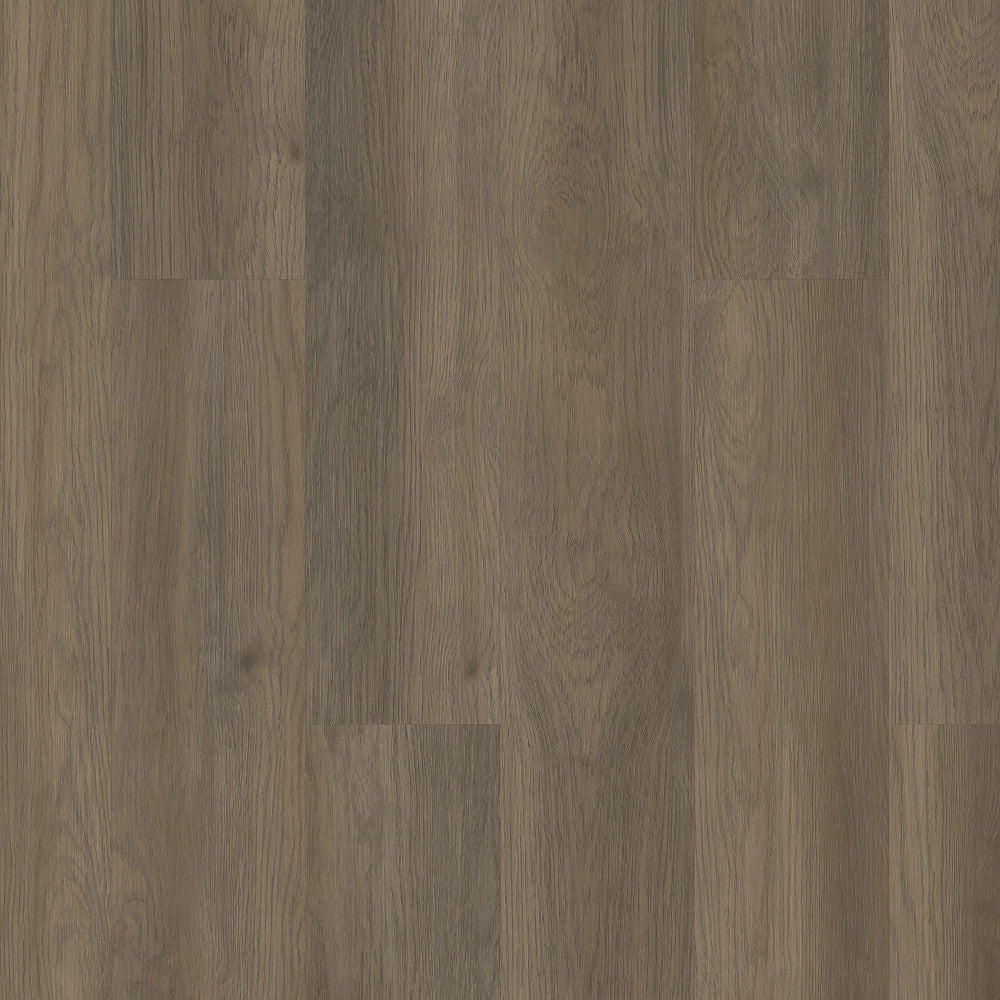 Alba Reserve SPC 3 5