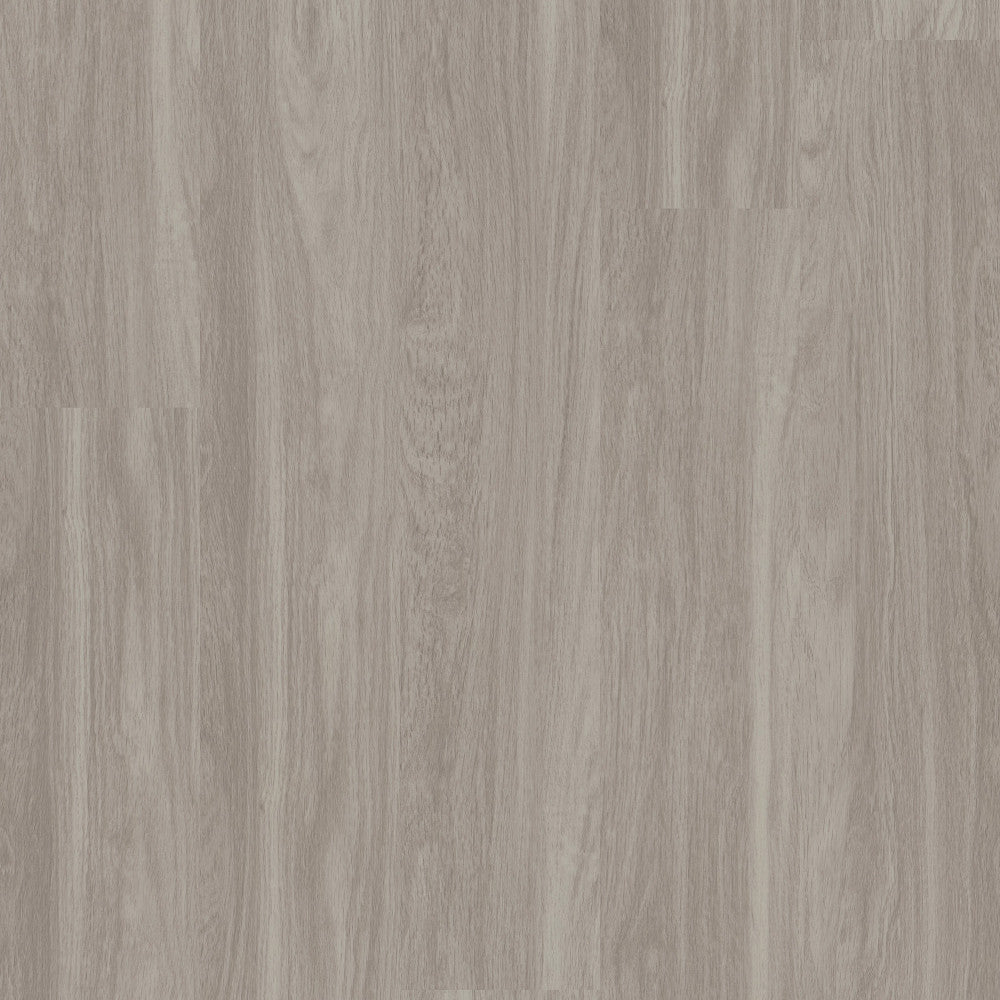 Alba Reserve SPC 4 0