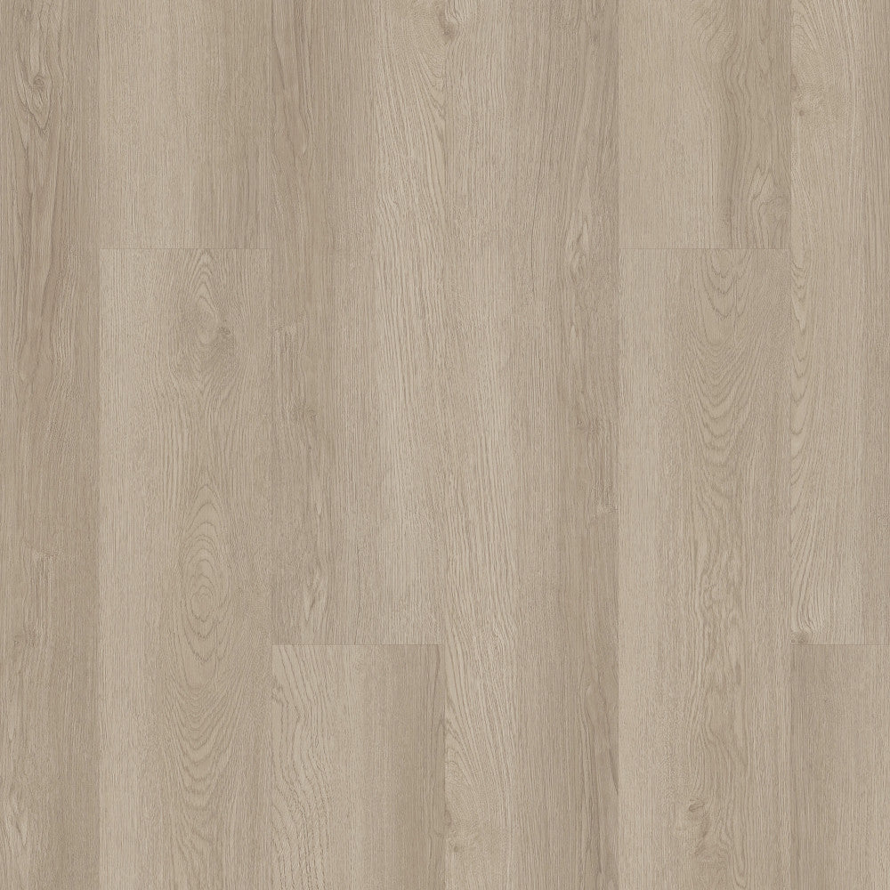 Alba Reserve SPC 4 0