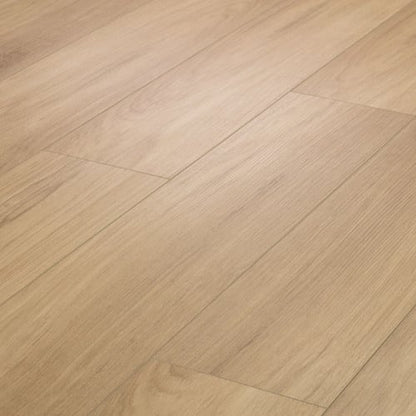 DISTINCTION PLUS in Hazelnut Brown