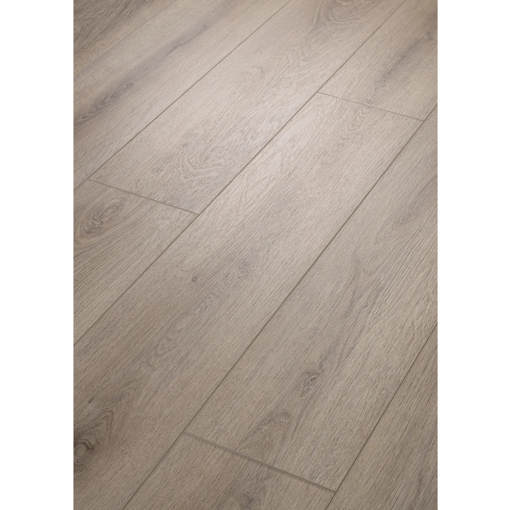 Shaw Industries in Paladin Plus Luxury Vinyl