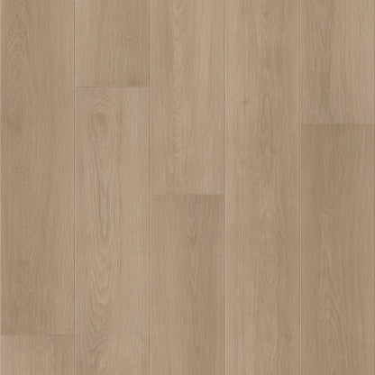 FRESH TAKE in Bentwood Tan