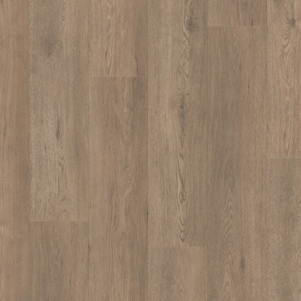 Paragon HD Plus Natural Bevel