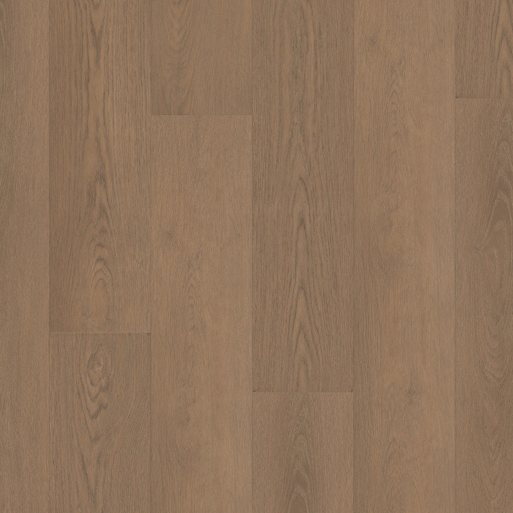 Paragon HD Plus Natural Bevel
