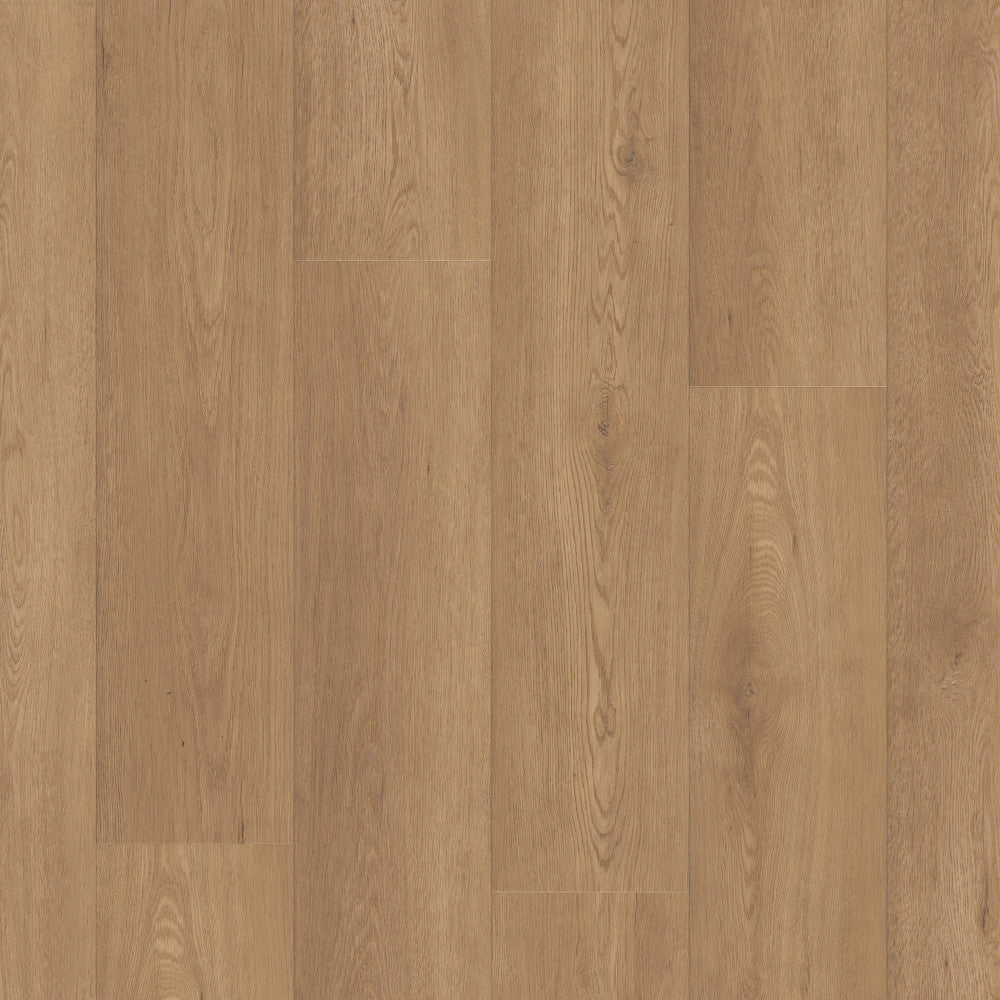 Paragon HD Plus Natural Bevel