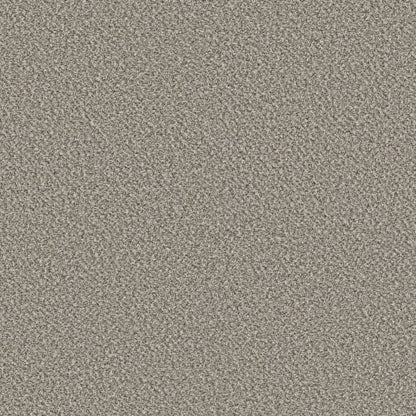 VA251