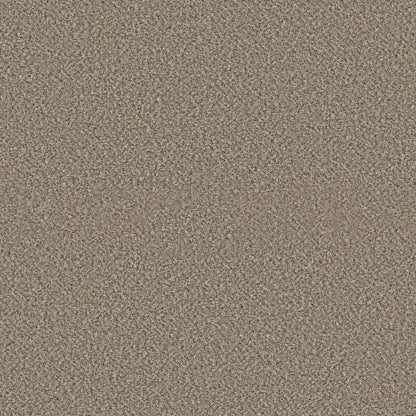 VA251