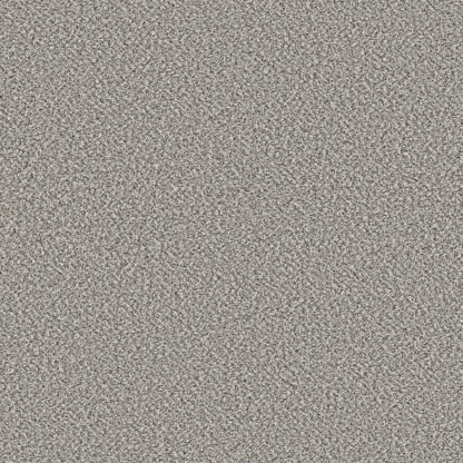 VA251 in Whisper Carpet