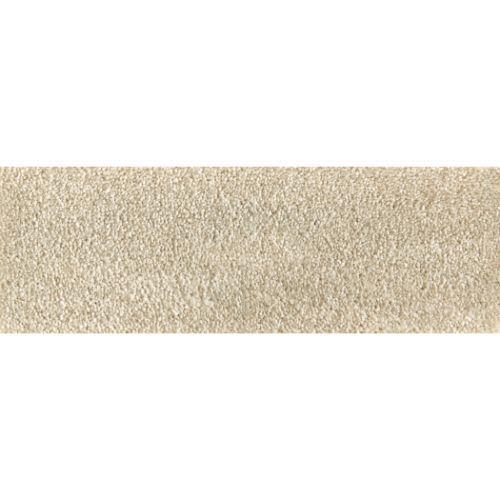 Velveteen in Bisque Carpet