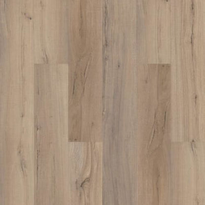 VENTURA in Driftwood