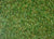 Venice 3496 Grass